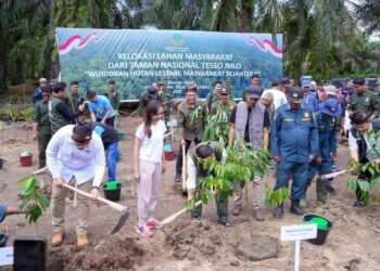 Pemerintah Mulai Relokasi Masyarakat dari Taman Nasional Tesso Nilo, Upaya Kembalikan Fungsi Hutan 46 Upaya Kembalikan Fungsi Hutan Pemerintah Mulai