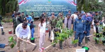 Upaya Kembalikan Fungsi Hutan Pemerintah Mulai