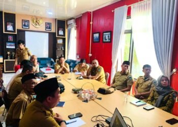 WhatsApp Image 2025 11 24 at 17.45.20 1