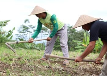 WhatsApp Image 2025 11 30 at 08.47.19