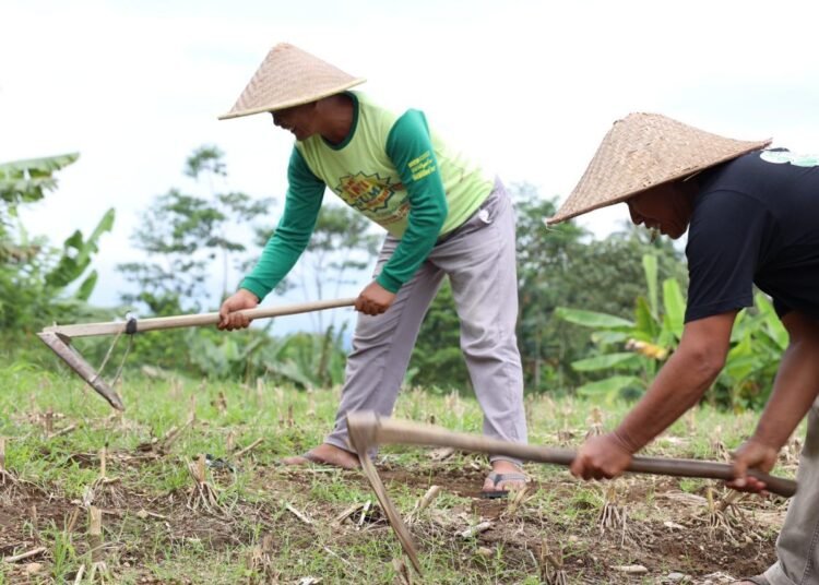 WhatsApp Image 2025 11 30 at 08.47.19