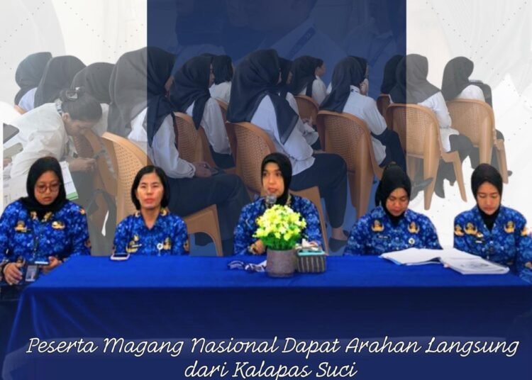 WhatsApp Image 2025 12 01 at 11.52.41