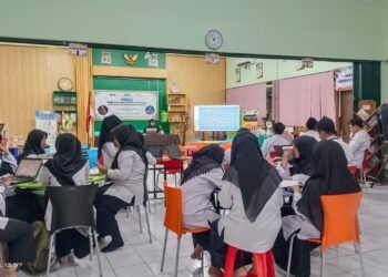 WhatsApp Image 2025 12 01 at 13.58.18