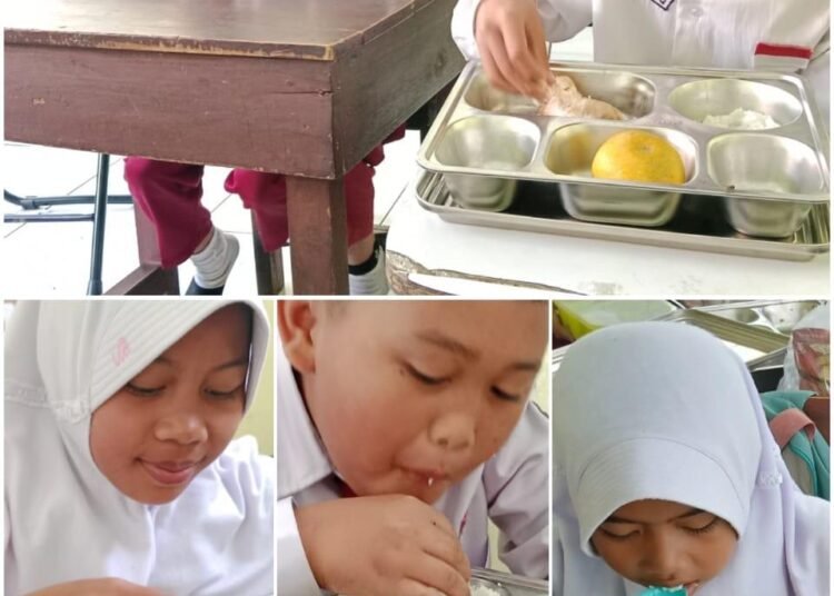 WhatsApp Image 2025 12 02 at 15.14.39