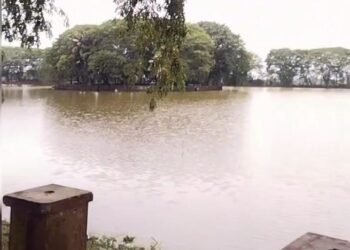 WhatsApp Image 2025 12 03 at 10.47.20 514f8a8c