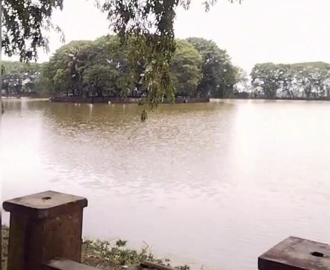 WhatsApp Image 2025 12 03 at 10.47.20 514f8a8c