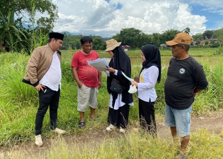 WhatsApp Image 2025 12 03 at 11.27.59 1