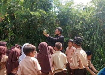 WhatsApp Image 2025 12 05 at 21.02.52