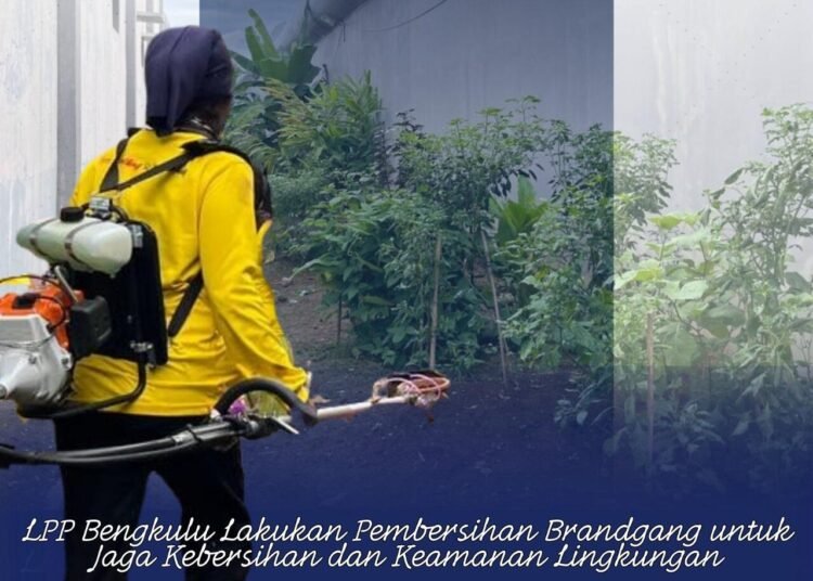 WhatsApp Image 2025 12 08 at 16.07.00