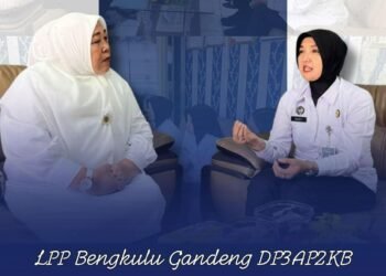 WhatsApp Image 2025 12 09 at 16.50.11