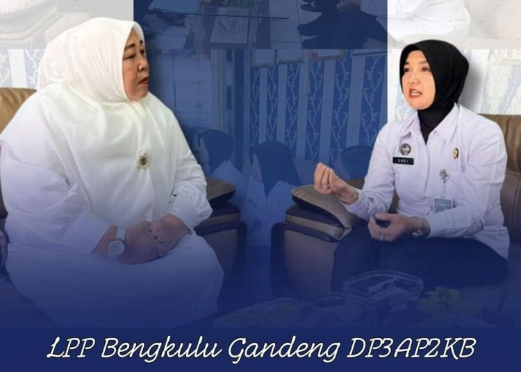 WhatsApp Image 2025 12 09 at 16.50.11