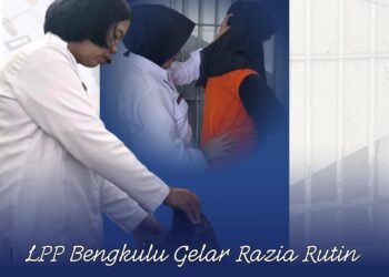 WhatsApp Image 2025 12 10 at 10.28.31