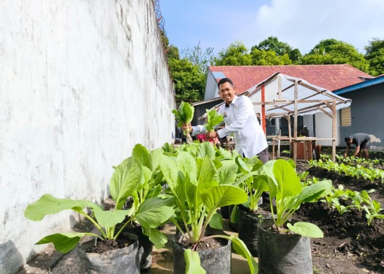 WhatsApp Image 2025 12 10 at 20.14.16 3c870c36