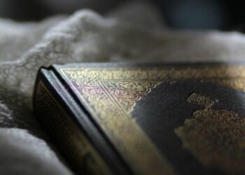 WhatsApp Image 2025 12 10 at 22.56.39