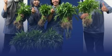 Panen Kangkung di Lapas Perempuan Bengkulu, Bukti Pembinaan Kemandirian Terus Berjalan 34 WhatsApp Image 2025 12 12 at 09.44.37