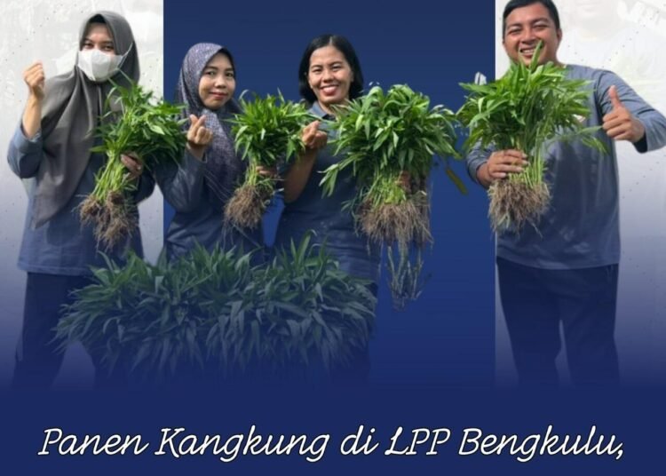 WhatsApp Image 2025 12 12 at 09.44.37