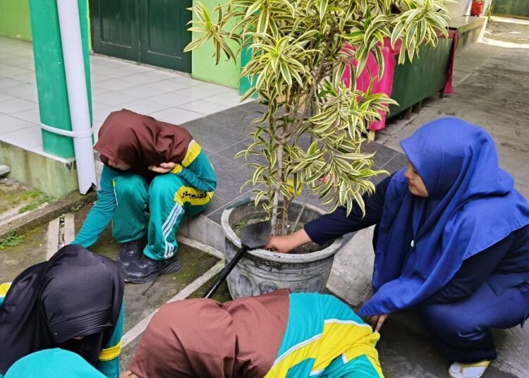 WhatsApp Image 2025 12 12 at 15.26.48