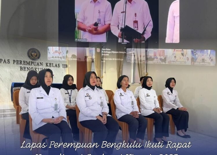 WhatsApp Image 2025 12 15 at 11.04.25