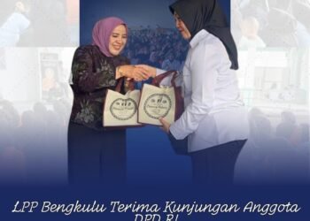 WhatsApp Image 2025 12 15 at 15.33.55