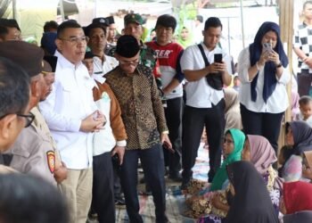 WhatsApp Image 2025 12 15 at 17.39.24