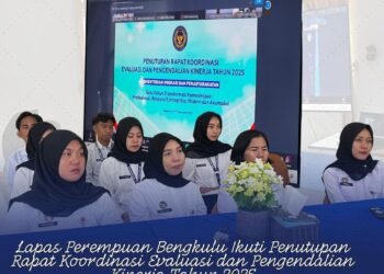 WhatsApp Image 2025 12 16 at 16.01.32