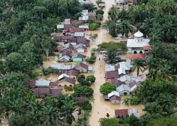 WhatsApp Image 2025 12 17 at 14.27.19 1