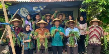 Semakin Produktif, Lapas Bandanaira Panen 60 Ikat Kacang Panjang Hasil Pembinaan Warga Binaan 31 WhatsApp Image 2025 12 18 at 15.24.23 f5dfa48a