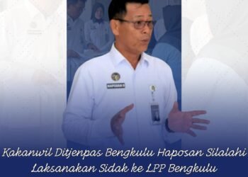 WhatsApp Image 2025 12 18 at 17.50.03