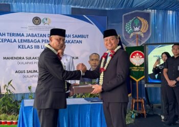 WhatsApp Image 2025 12 19 at 11.12.04