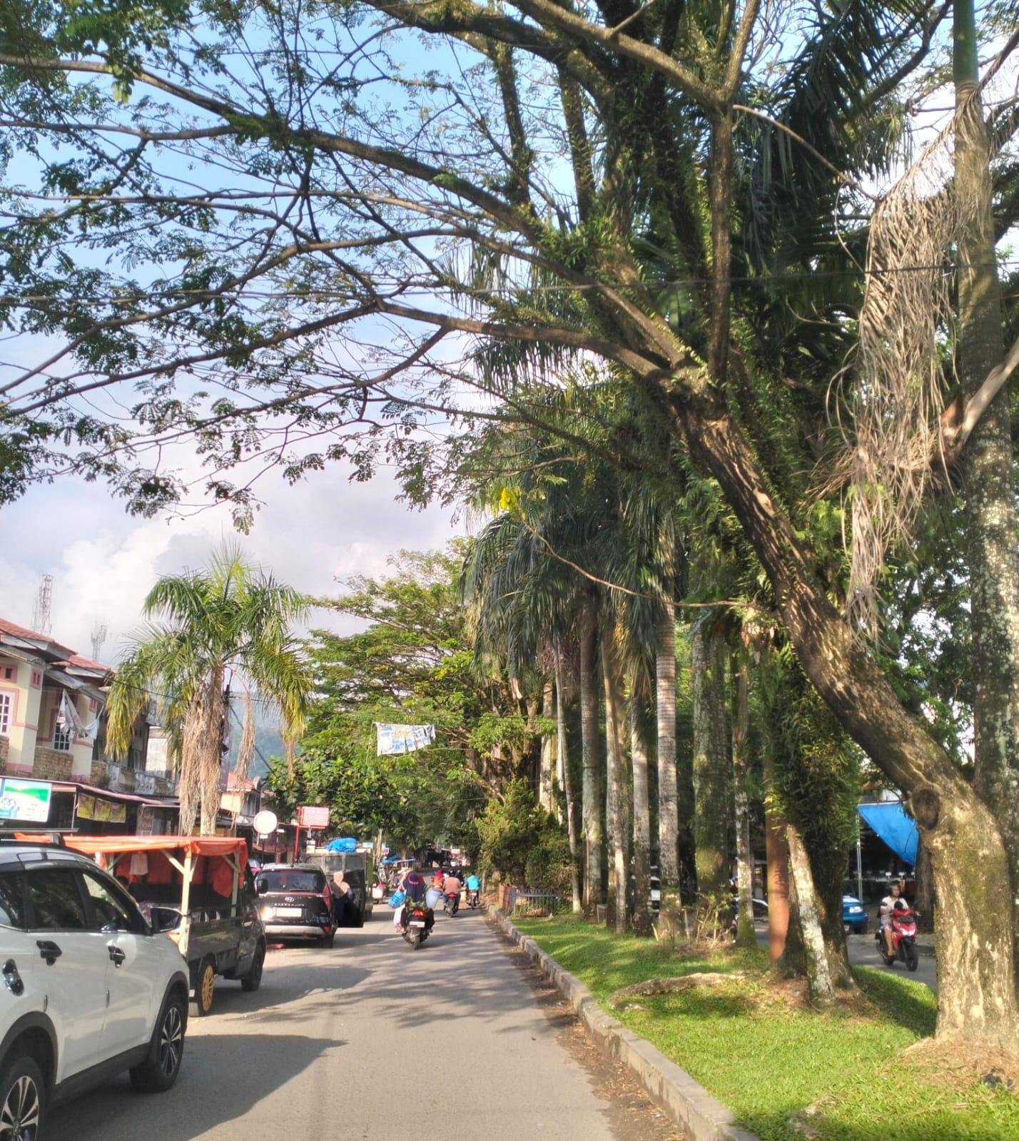 Puncak Tradisi Pulang Basamo: Momentum Akhir Tahun Yang Membawa Puluhan Ribu Perantau Kembali ke Ranah Minang 47 pulang basamo perantau minang