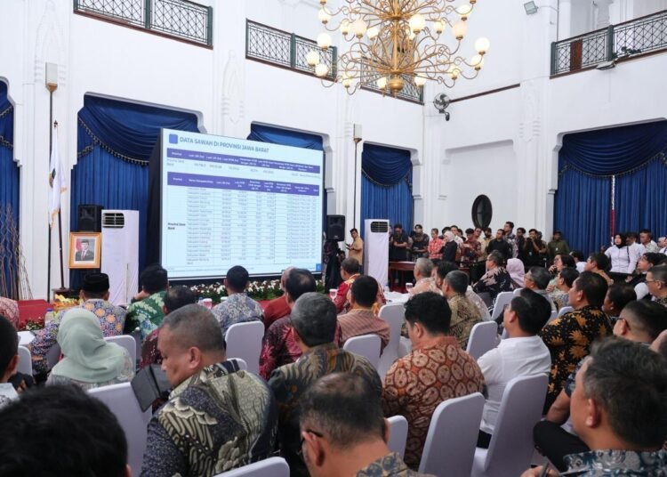 WhatsApp Image 2025 12 19 at 15.33.11