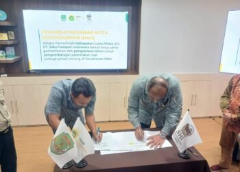 WhatsApp Image 2025 12 19 at 15.40.05 1