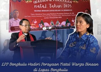 WhatsApp Image 2025 12 20 at 10.35.46