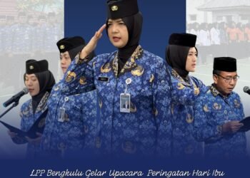 WhatsApp Image 2025 12 22 at 10.18.11