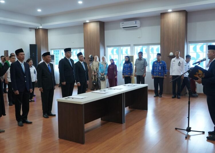 WhatsApp Image 2025 12 22 at 12.06.50