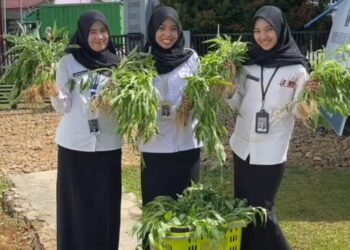 WhatsApp Image 2025 12 22 at 14.57.38