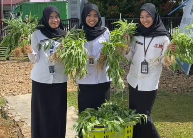 WhatsApp Image 2025 12 22 at 14.57.38