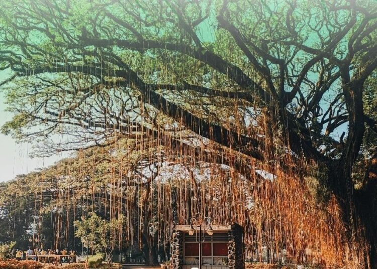 Menteri ATR/BPN Tegaskan Perlindungan Lahan Sawah dalam Rapat Koordinasi Tata Ruang dan Pertanahan di Jawa Barat 46 Menteri ATR/BPN Tegaskan Perlindungan Lahan Sawah dalam Rapat Koordinasi Tata Ruang dan Pertanahan di Jawa Barat