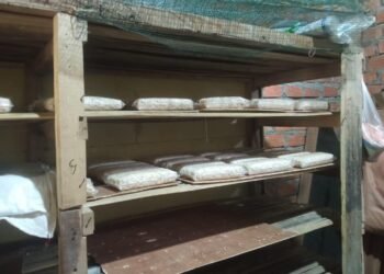 Revolusi Hijau Tempe Pematang Gajah UMKM Bersih Untung Ganda 47 WhatsApp Image 2025 12 23 at 12.20.43