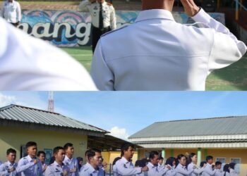 WhatsApp Image 2025 12 29 at 10.52.56