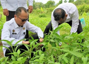 Lapas Bengkulu, Budidaya Kangkung, Pembinaan Produktif, Kemandirian Pangan, 15 Program Aksi Kemenimipas 2026, Agro Edukasi Lapas, Reintegrasi Sosial