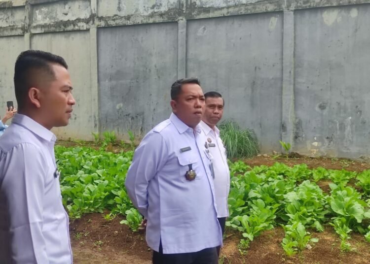 WhatsApp Image 2025 12 31 at 10.09.46 1