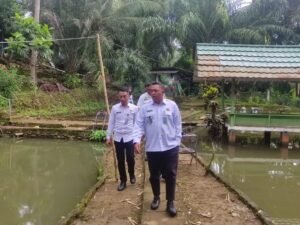 WhatsApp Image 2025 12 31 at 10.10.04