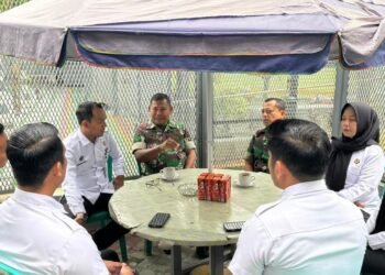 WhatsApp Image 2025 12 31 at 12.16.47 3