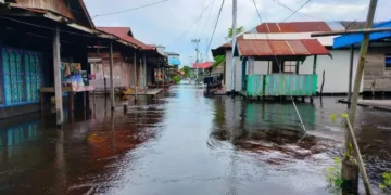 ZZZ Banjir Kalteng