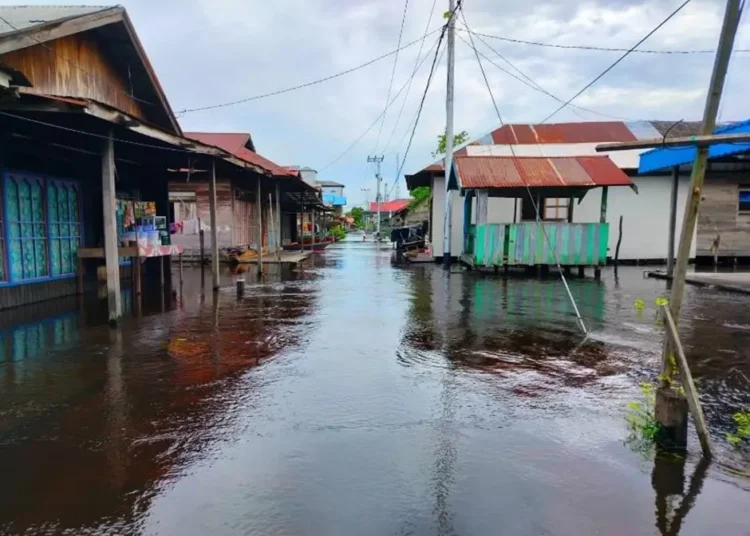 Air yang Datang dari Hulu, Kebijakan yang Datang dari Atas 46 ZZZ Banjir Kalteng
