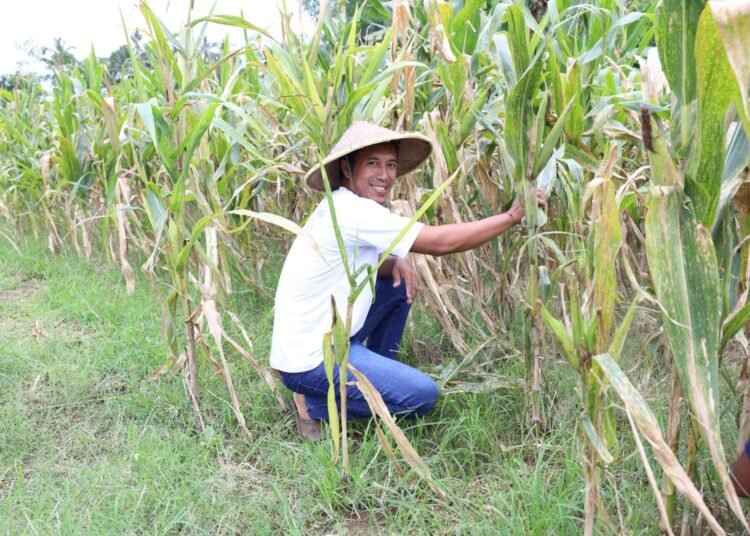 Reforma Agraria Lahirkan Regenerasi dan Kreativitas Petani Muda di Desa Soso