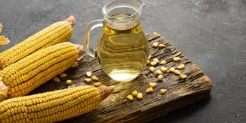 Potensi Minyak Jagung sebagai Alternatif Minyak Nabati