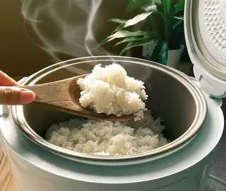 Nasi Kukus Lebih Enak dari Nasi Magicom: Fakta Ilmiah di Balik Rasa dan Aroma 46 download 3