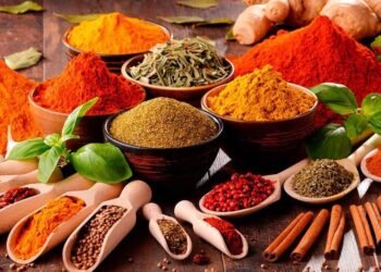 e51fe2c0 b4fa 4a3a 878a 24a290522d34